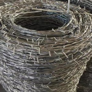 Barbed Wires